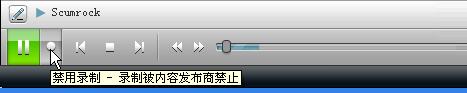 RealPlayer11软件录制